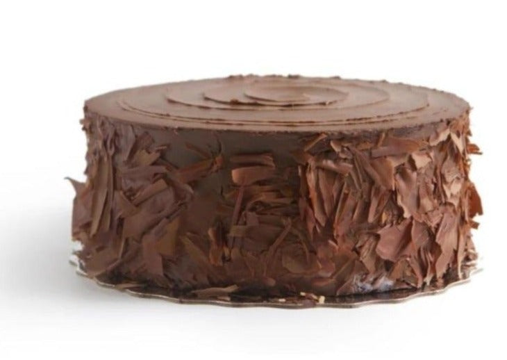 Chocolate fudge cake against a white background