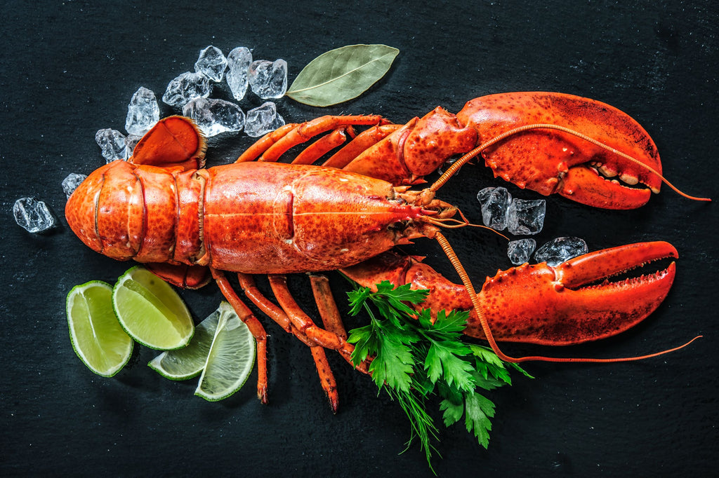 a red cooked lobster on a black slate background, with ice cubes, parsley and lemons scattered around